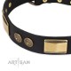 Exclusive FDT Artisan Leather Dog Collar "Strict Elegance"