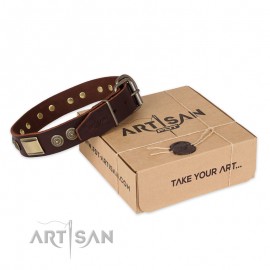 Perfect Brown Leather Dog Collar for  Labrador "Breath of Elegance"