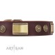 Perfect Brown Leather Dog Collar for  Labrador "Breath of Elegance"