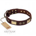 Perfect Brown Leather Dog Collar for  Labrador "Breath of Elegance"