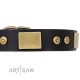 "Spanish Night" exklusives FDT Artisan Lederhalsband für Labrador