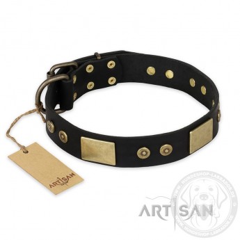 "Spanish Night" exklusives FDT Artisan Lederhalsband für Labrador