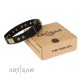 "Spanish Night" exklusives FDT Artisan Lederhalsband für Labrador