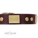 Wonderful Brown Leather Dog Collar for  Labrador "Shining Armour"