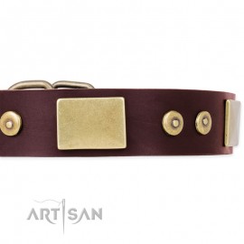 Wonderful Brown Leather Dog Collar for  Labrador "Shining Armour"