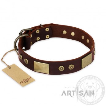 Wonderful Brown Leather Dog Collar for  Labrador "Shining Armour"