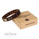 Wonderful Brown Leather Dog Collar for  Labrador "Shining Armour"