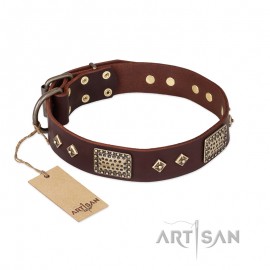 Brown FDT Artisan Leather Dog Collar"Ancient Warrior" for Labrador