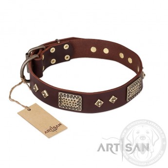 Brown FDT Artisan Leather Dog Collar"Ancient Warrior" for Labrador