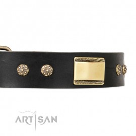 Leather Dog Collar with Adornment "Space Walk" FDT Artisan 