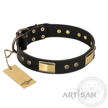 Leather Dog Collar with Adornment "Space Walk" FDT Artisan 