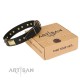 Leather Dog Collar with Adornment "Space Walk" FDT Artisan 