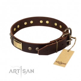 FDT Artisan 'Rich Fashion' Decorated Brown Leather Dog Collar