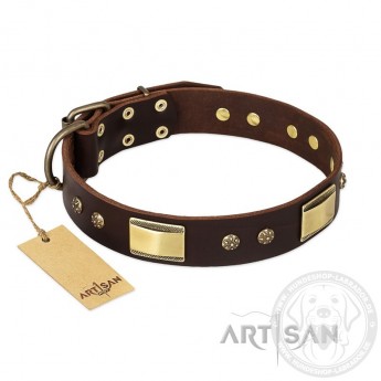 Braunes Lederhalsband von FDT Artisan "Rich Fashion"