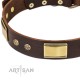 FDT Artisan 'Rich Fashion' Decorated Brown Leather Dog Collar