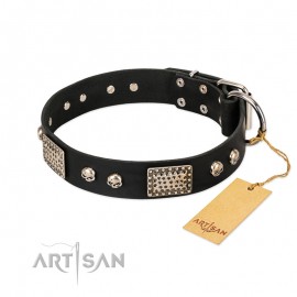 'Pirates Gold' FDT Artisan Black Leather Dog Collar with Old Silver Look Plates and Skulls