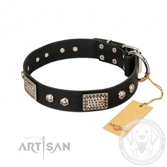 'Pirates Gold' FDT Artisan Black Leather Dog Collar with Old Silver Look Plates and Skulls