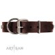 Original Brown Leather Dog Collar "Pirate Skulls" by FDT Artisan