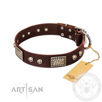 Original Brown Leather Dog Collar "Pirate Skulls" by FDT Artisan