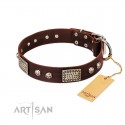 Original Brown Leather Dog Collar "Pirate Skulls" by FDT Artisan