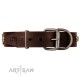 Gorgeous FDT Artisan Brown Leather  Dog Collar "Magic Amulet" for Labrador