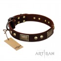 Gorgeous FDT Artisan Brown Leather  Dog Collar "Magic Amulet" for Labrador