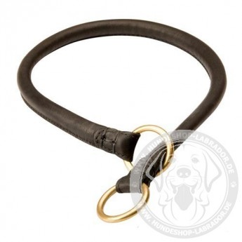 Classic Labrador Leather Dog Collar