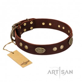 Schickes Braunes Labrador Lederhalsband von FDT Artisan 