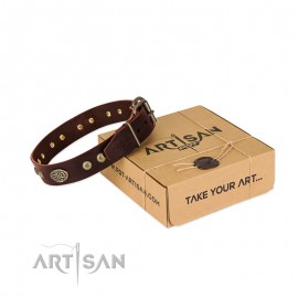 Schickes Braunes Labrador Lederhalsband von FDT Artisan 