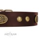 Chic Brown Labrador Leather Dog Collar  FDT Artisan 