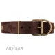 Chic Brown Labrador Leather Dog Collar  FDT Artisan 