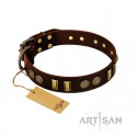 Herrliches Braunes Lederhalsband FDT Artisan "Golden Elegance"