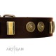 Chic Brown Labrador Leather Dog Collar  FDT Artisan 