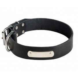 Leather Dog Collar with ID Tag for Training and Walking
