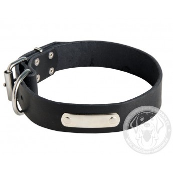 Leather Dog Collar with ID Tag for Training and Walking