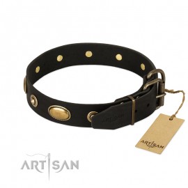 Black "Eye-Catcher" Leather Dog Collar  FDT Artisan for  Labrador 