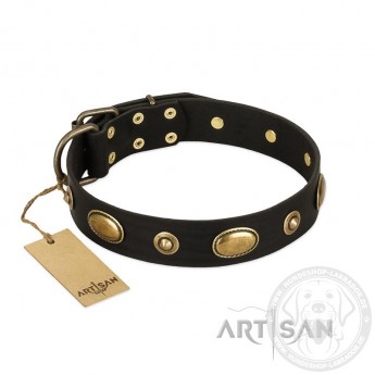 Schwarzes "Eye-Catcher" Lederhalsband von FDT Artisan für Labrador 