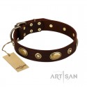 Labrador stylish Leather Dog Collar in Brown "Hebe's Jewel" FDT Artisan