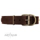 Labrador stylish Leather Dog Collar in Brown "Hebe's Jewel" FDT Artisan