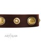 Labrador stylish Leather Dog Collar in Brown "Hebe's Jewel" FDT Artisan