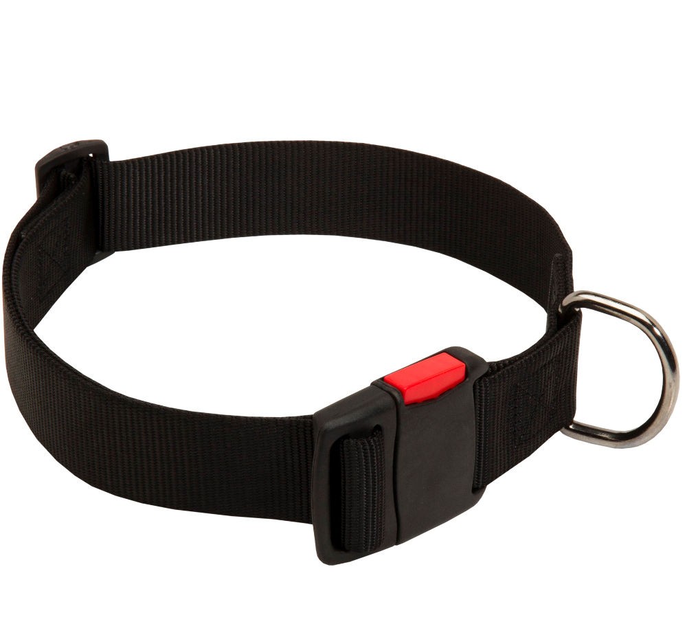 What Size Dog Collar For A Labrador