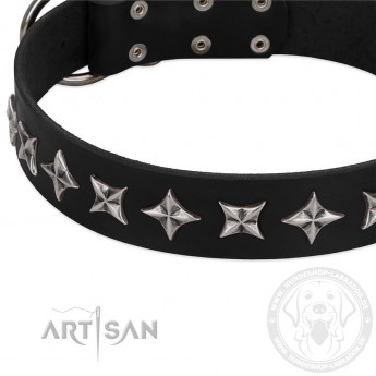 Leather Dog Collar with Adornment "Space Walk" FDT Artisan 