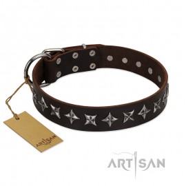 "Stars of Glory" braunes Lederhalsband für Labrador FDT Artisan