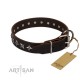 Brown Leather Dog Collar with Silvery Stars"Stars of Glory""