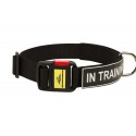 Labrador Training Collar with ID Patches and Buckle