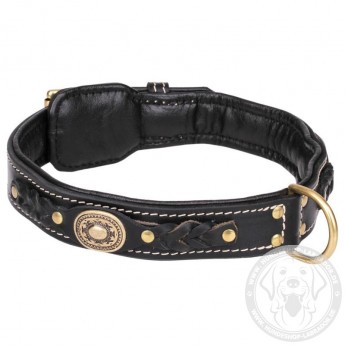 Braided Leather Dog Collar with Nappa Padding for Labrador