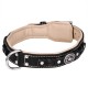 Braided Leather Dog Collar with Nappa Padding for Labrador