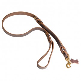 Leather Dog Lead for labrador with Rivets and Braid Decor