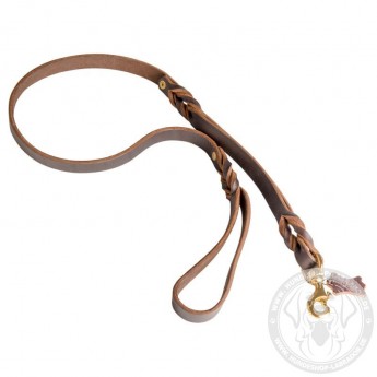 Leather Dog Lead for labrador with Rivets and Braid Decor