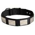 Nylon Labrador Collar with Nickel Plates